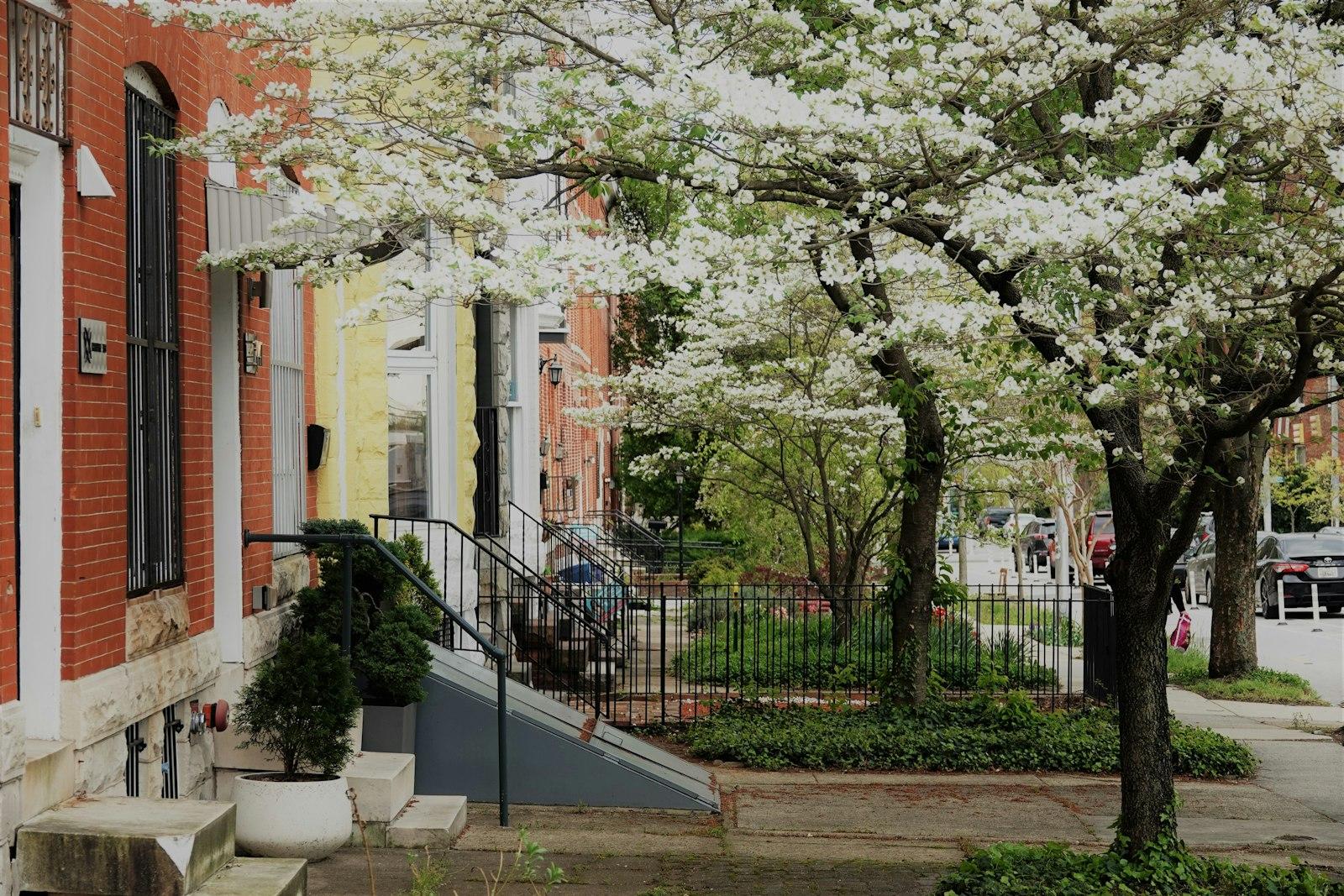 White and brown concrete building near green trees during daytime